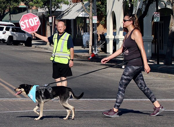 Ugly Dog volunteers waited at intersections to stop traffic for dog contestants Saturday morning in downtown Lemoore.